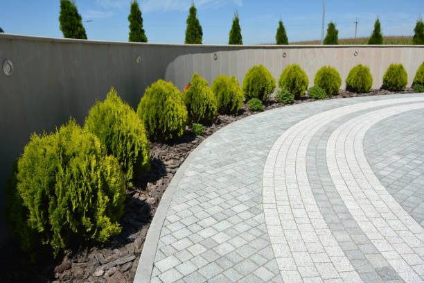 Reasons to Select Us for Your Driveway Paving Requirements in Homer City, PA